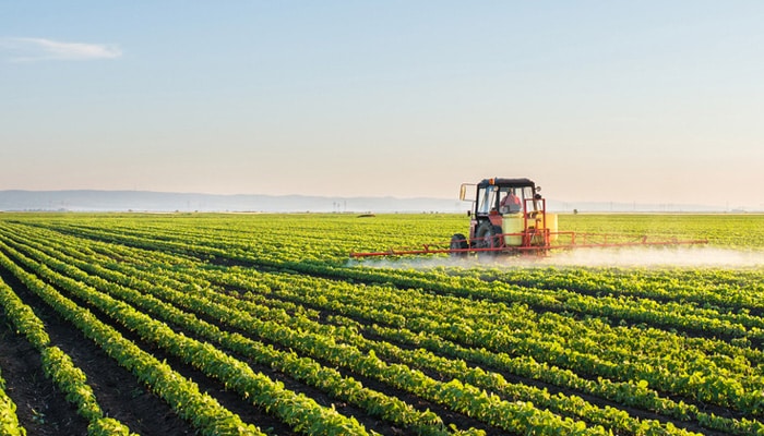 ¿Que es un metabolito?
