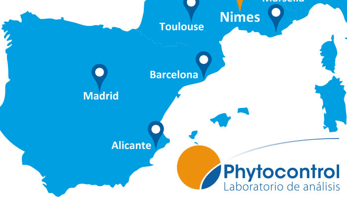 Phyto’news – Febrero 2019