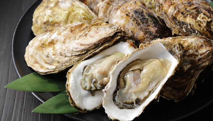 Phyto’news – Marzo 2019