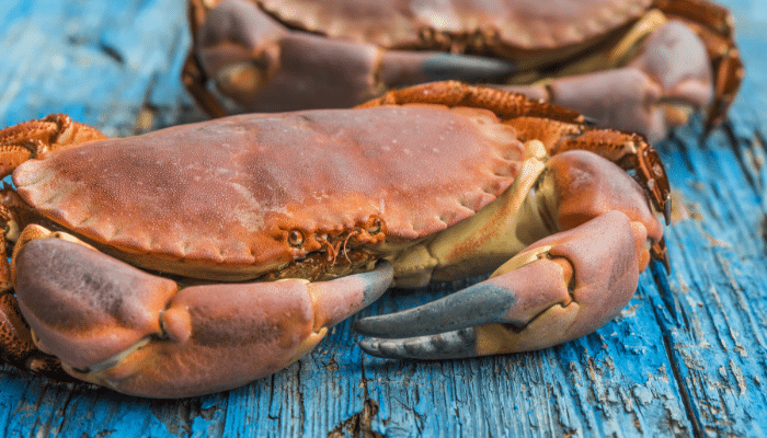 Alertas alimentarias Semana 47