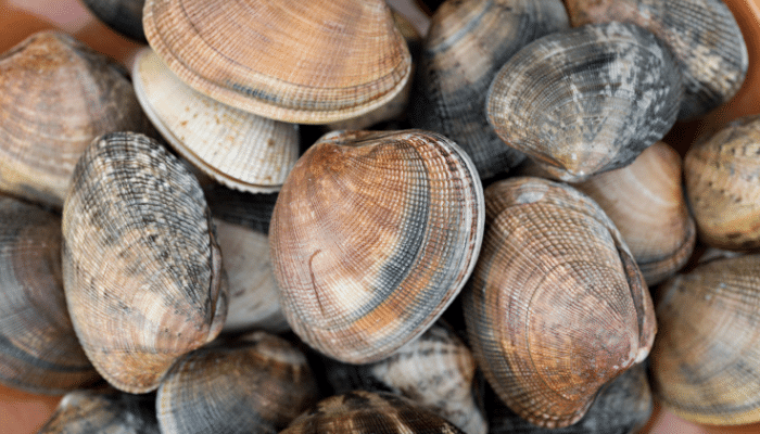 Alertas alimentarias Semana 14