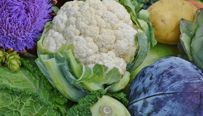 European alerts Week 43