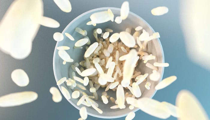 Phytocontrol – New film