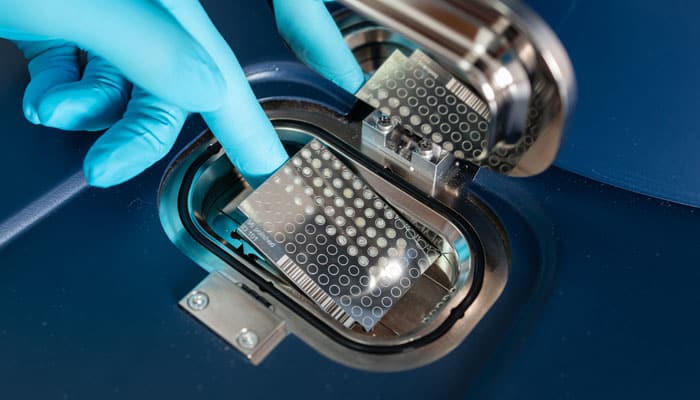 Innovation 2019, Phytocontrol rises to the top