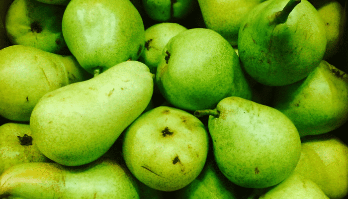 European alerts Week 02