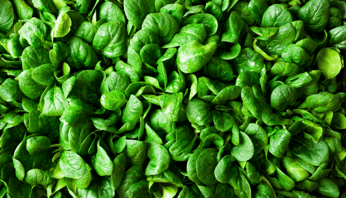 Alertas alimentarias Semana 50