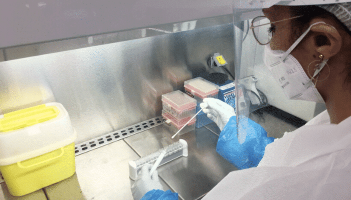 COVID-19: Phytocontrol analiza el SARS-CoV-2 en hisopos