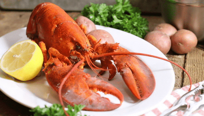 Alertas alimentarias Semana 36