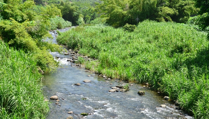 Nuovo metodo accreditato sul clordecone