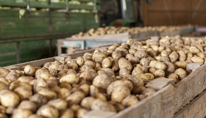 Phytocontrol offre l’analisi dell’1,4-dimetilnaftalene con metodo accreditato