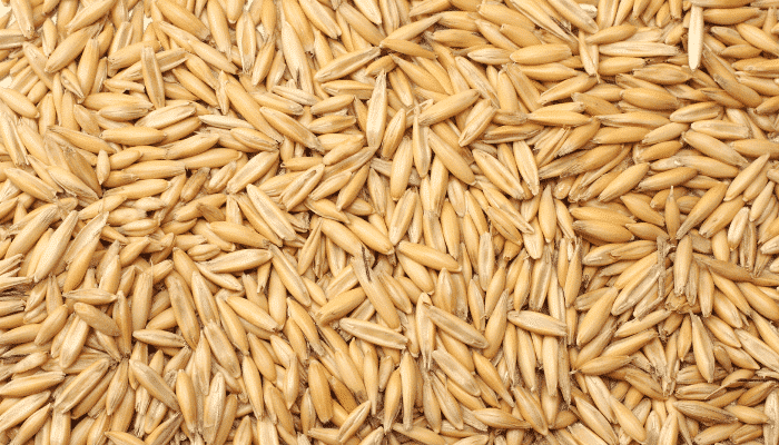 Alertas alimentarias Semana 24