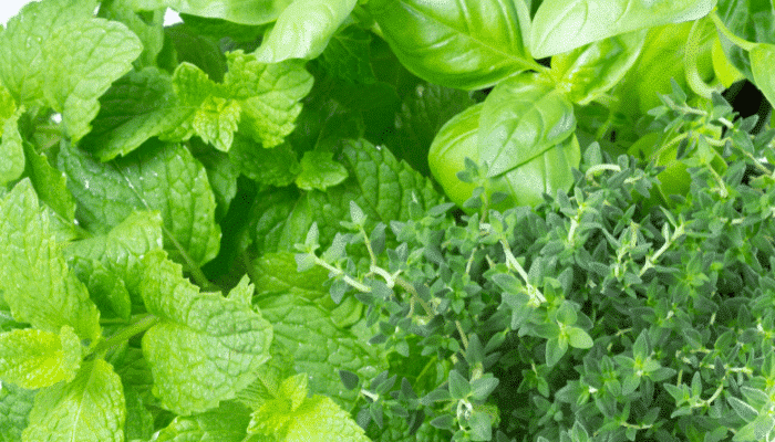 Allerte alimentari Settimana 28