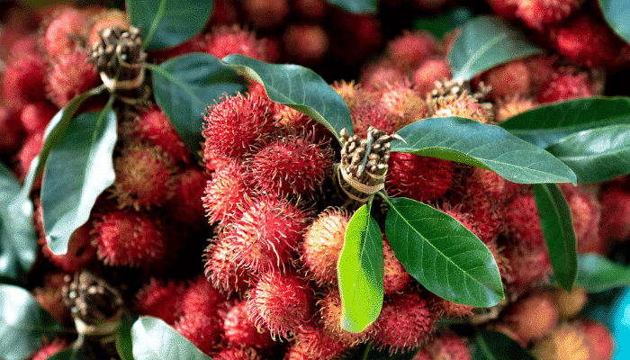 European alerts Week 40