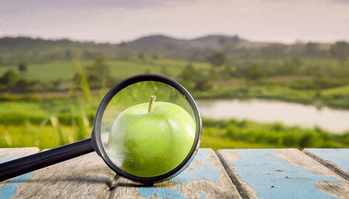 Phytocontrol estende la sua gamma di analisi di autenticazione delle specie vegetali