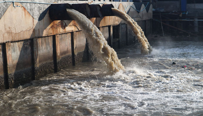 Los bacteriófagos de ARNf como indicadores de la calidad microbiológica del agua