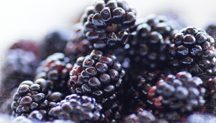 Alertas alimentarias Semana 07