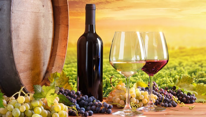 Phytocontrol, ¡el experto analítico del sector vitivinícola!