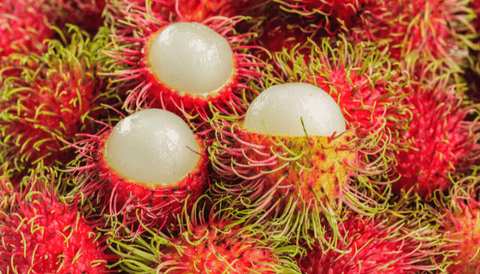 Alertas alimentarias Semana 08