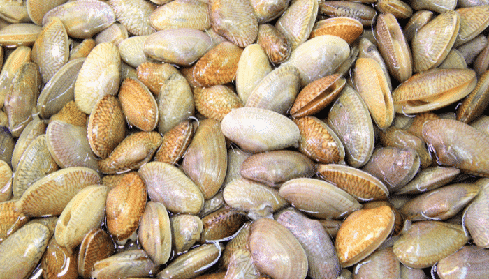 Alertas alimentarias Semana 05