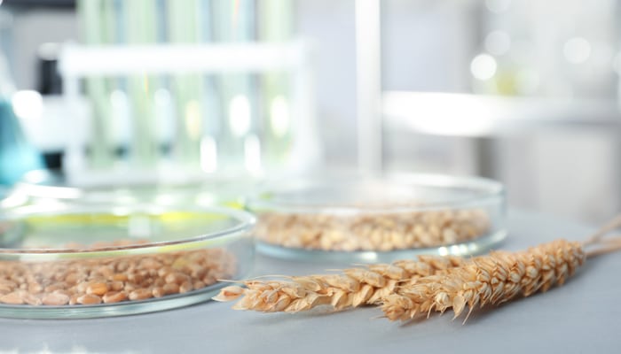 Micotossine e tossine vegetali: metodi di campionamento e analisi