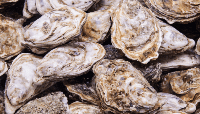 Alertas alimentarias Semana 11