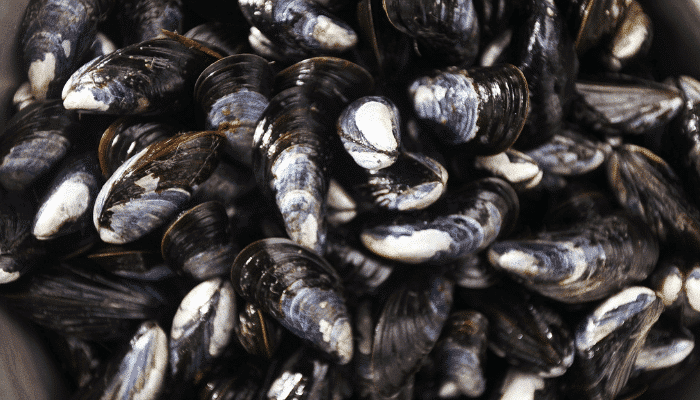 Alertas alimentarias Semana 25