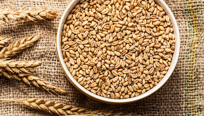 Alertas alimentarias Semana 39