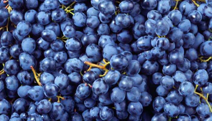 Alertas alimentarias Semana 40