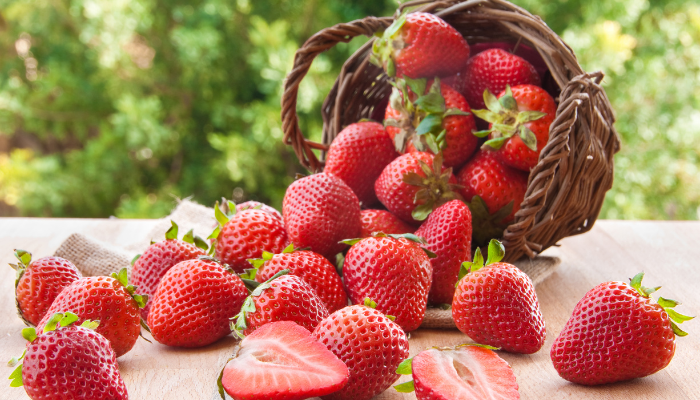 Modifications de LMR : règlements 2026/140 et 2026/147