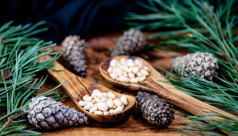 Alertas alimentarias Semana 16