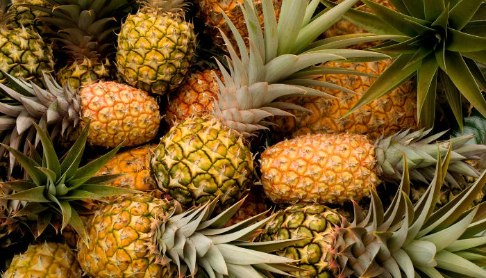 Alertas alimentarias Semana 20