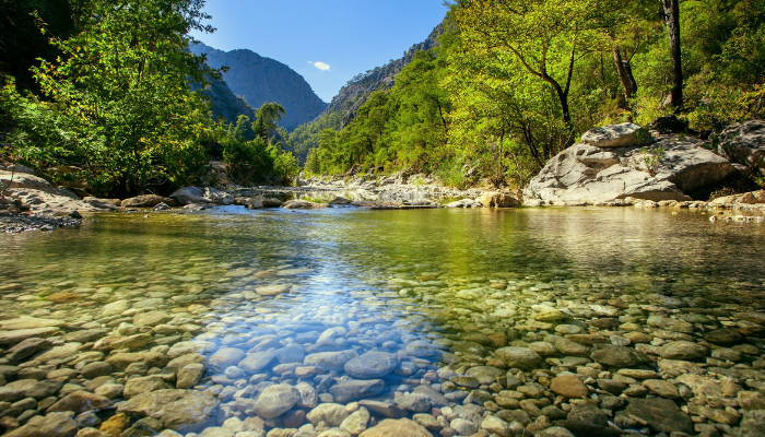 Cyanotoxin analysis: greater sensitivity and a comprehensive overview