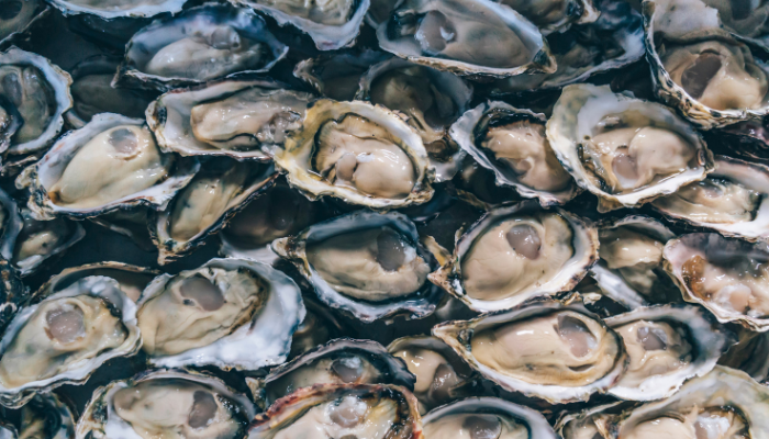 Alertes alimentaires Semaine 52