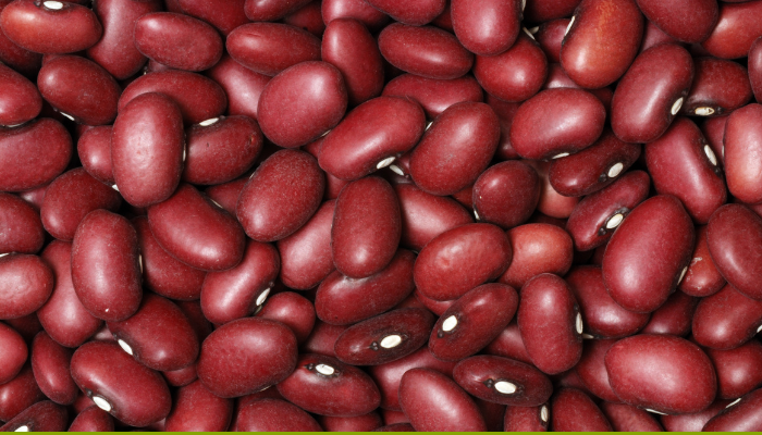 Alertes alimentaires Semaine 03