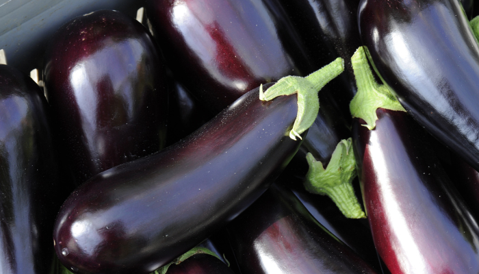 Alertes alimentaires Semaine 07