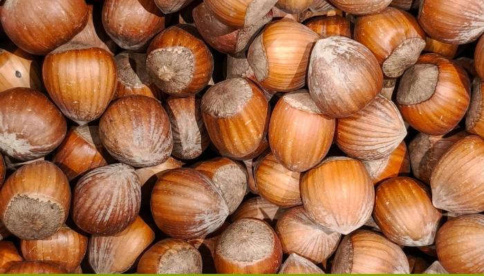 Alertes alimentaires Semaine 09